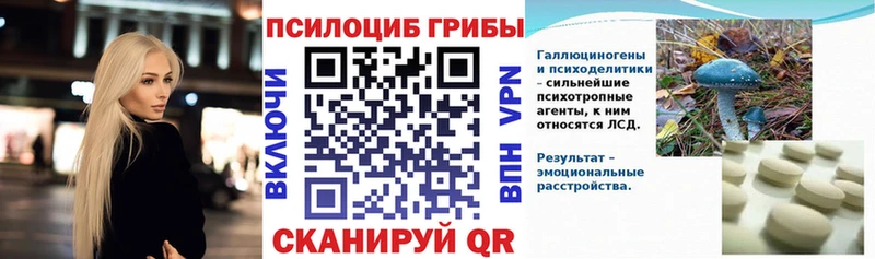 Псилоцибиновые грибы ЛСД  даркнет сайт  гидра ССЫЛКА  Сураж 